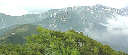 犬ヶ岳への稜線から黒岩平、長栂山を望む