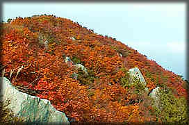 山頂付近の紅葉